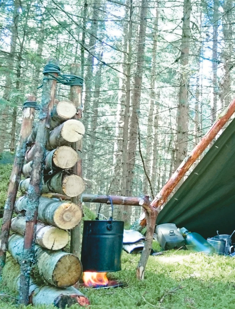 Survival in the Wild. Step-by-Step Illustrated Guide